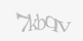 Защитный код