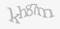 Защитный код