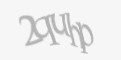 Защитный код