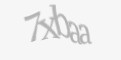Защитный код