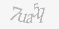 Защитный код