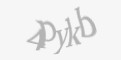 Защитный код