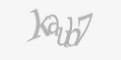 Защитный код