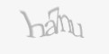 Защитный код