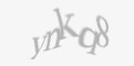 Защитный код