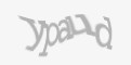Защитный код