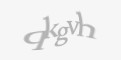 Защитный код